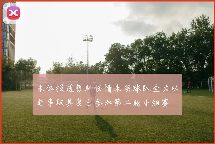 米体报道哲科伤情未明球队全力以赴争取其复出参加第二轮小组赛