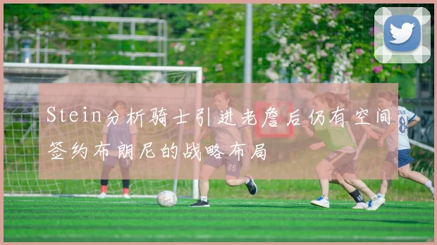 Stein分析骑士引进老詹后仍有空间签约布朗尼的战略布局
