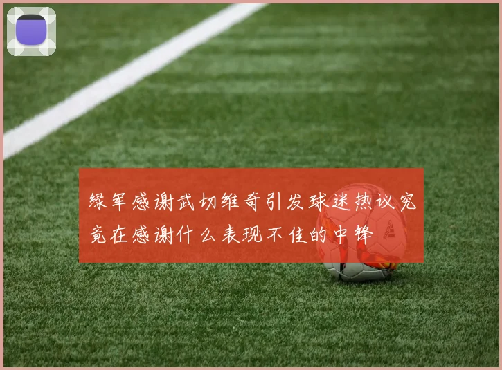绿军感谢武切维奇引发球迷热议究竟在感谢什么表现不佳的中锋